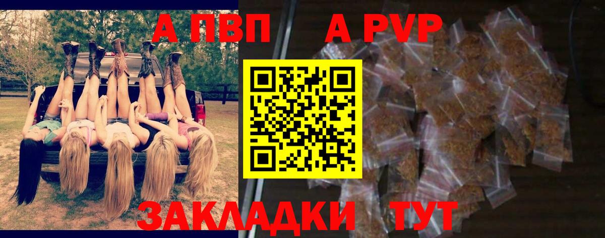 A-PVP СК КРИС Рубцовск