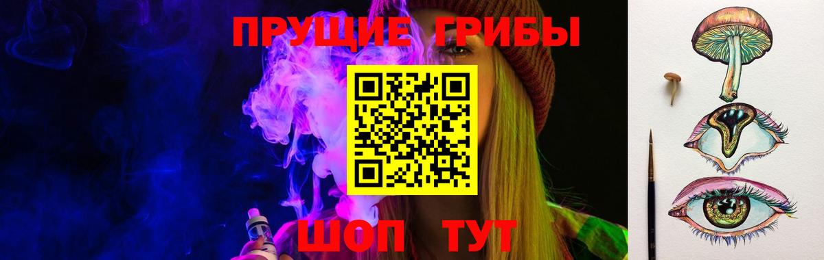 Рубцовск  Псилоцибиновые грибы Cubensis  Вход с VPN 